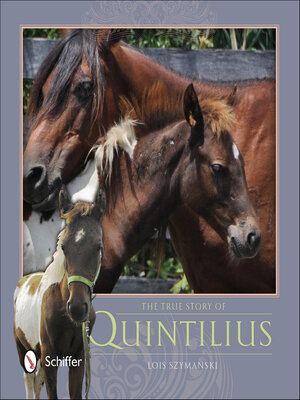 cover image of The True Story of Quintilius